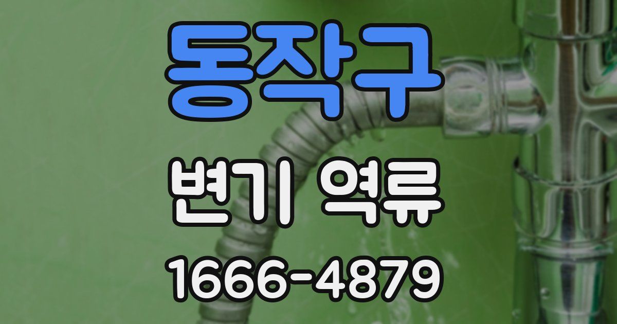 동작구 변기 역류