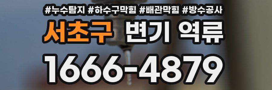 서초구 변기 역류
