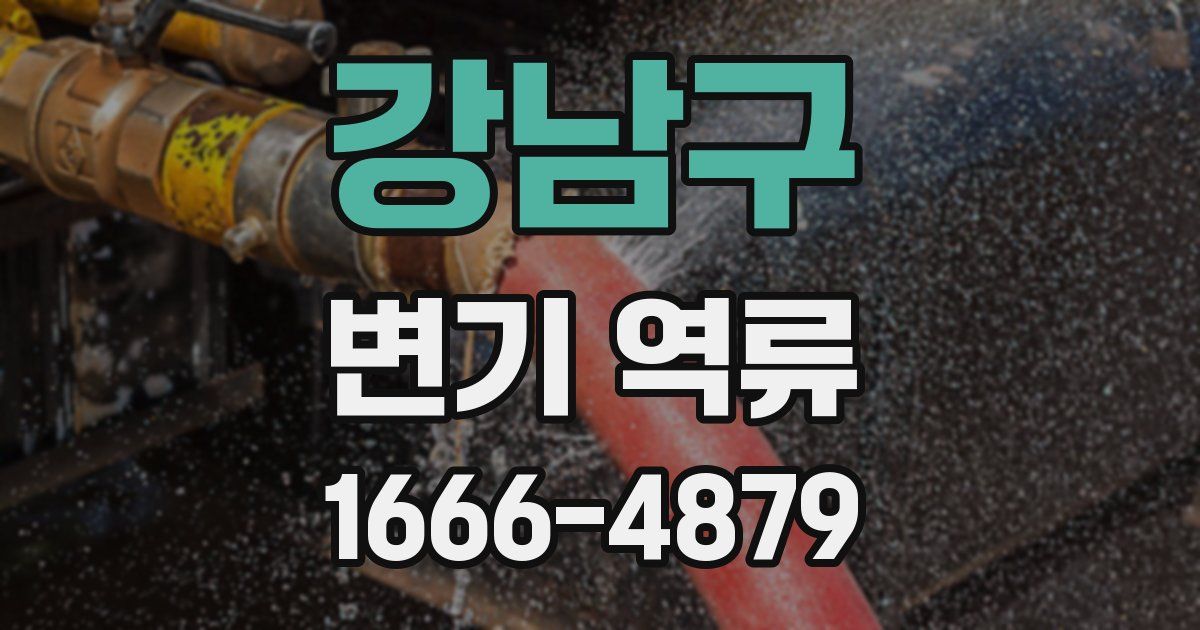 강남구 변기 역류