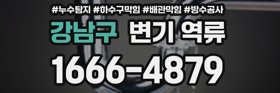 강남구 변기 역류