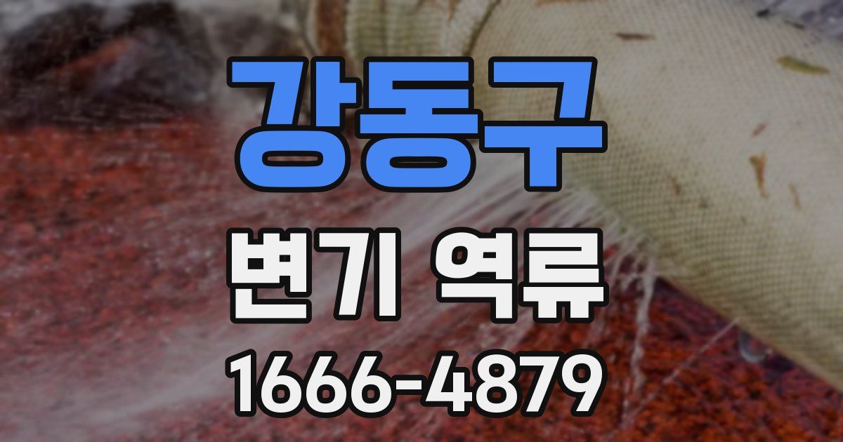 강동구 변기 역류