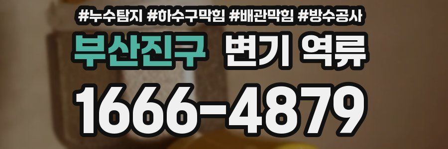 부산진구 변기 역류