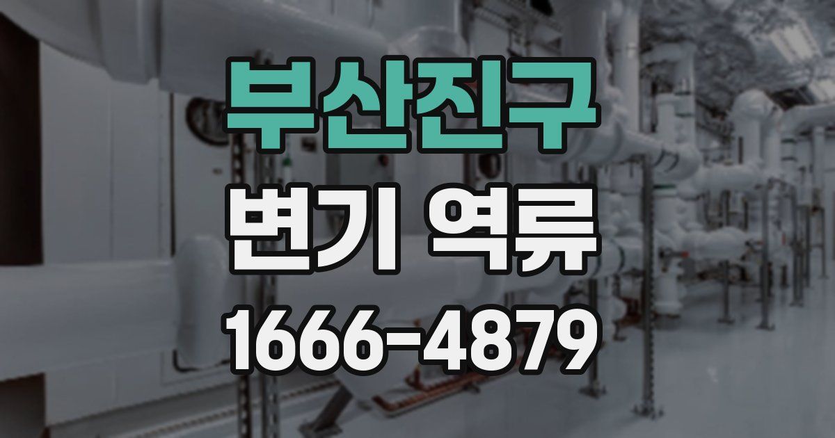 부산진구 변기 역류