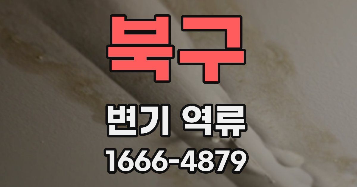 북구 변기 역류