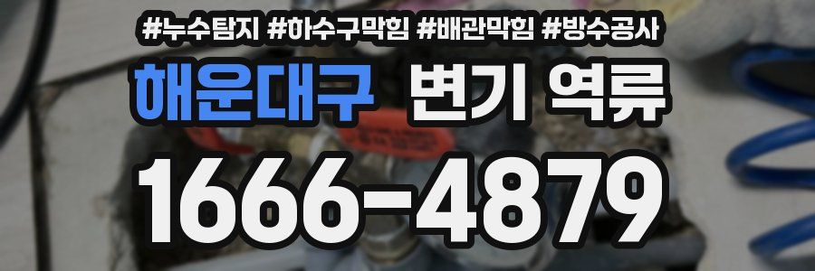 해운대구 변기 역류