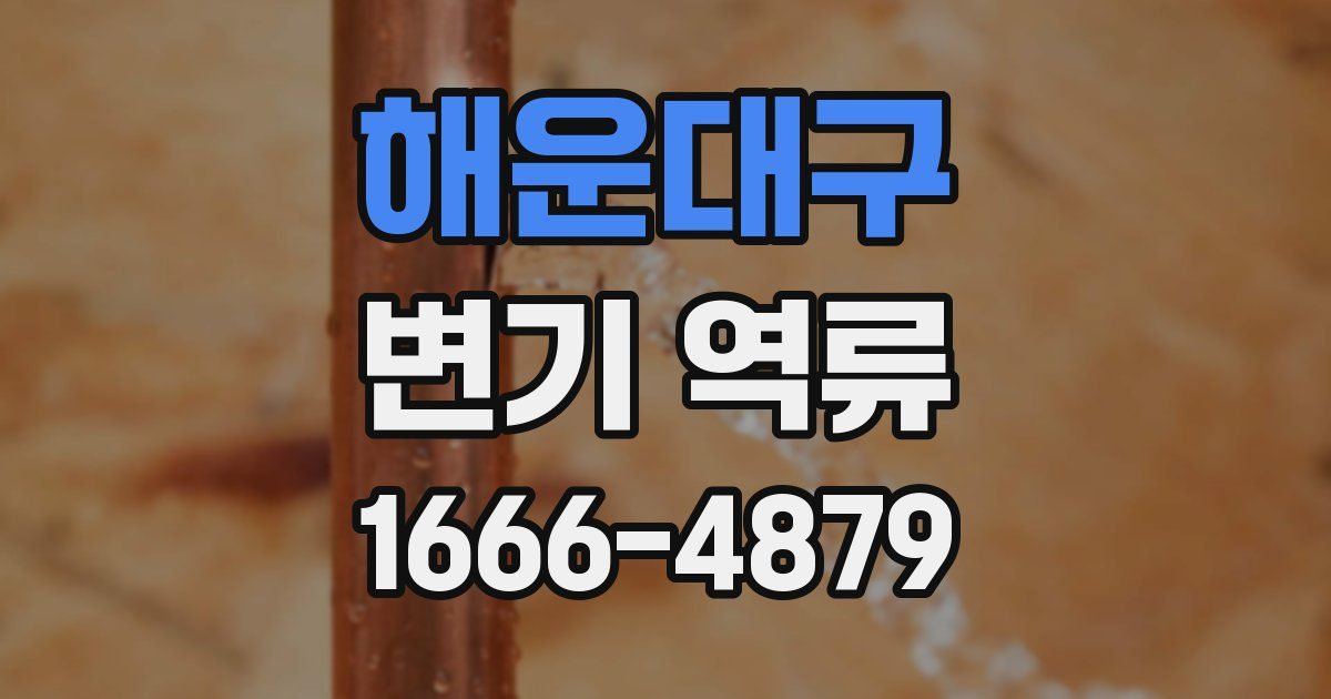 해운대구 변기 역류