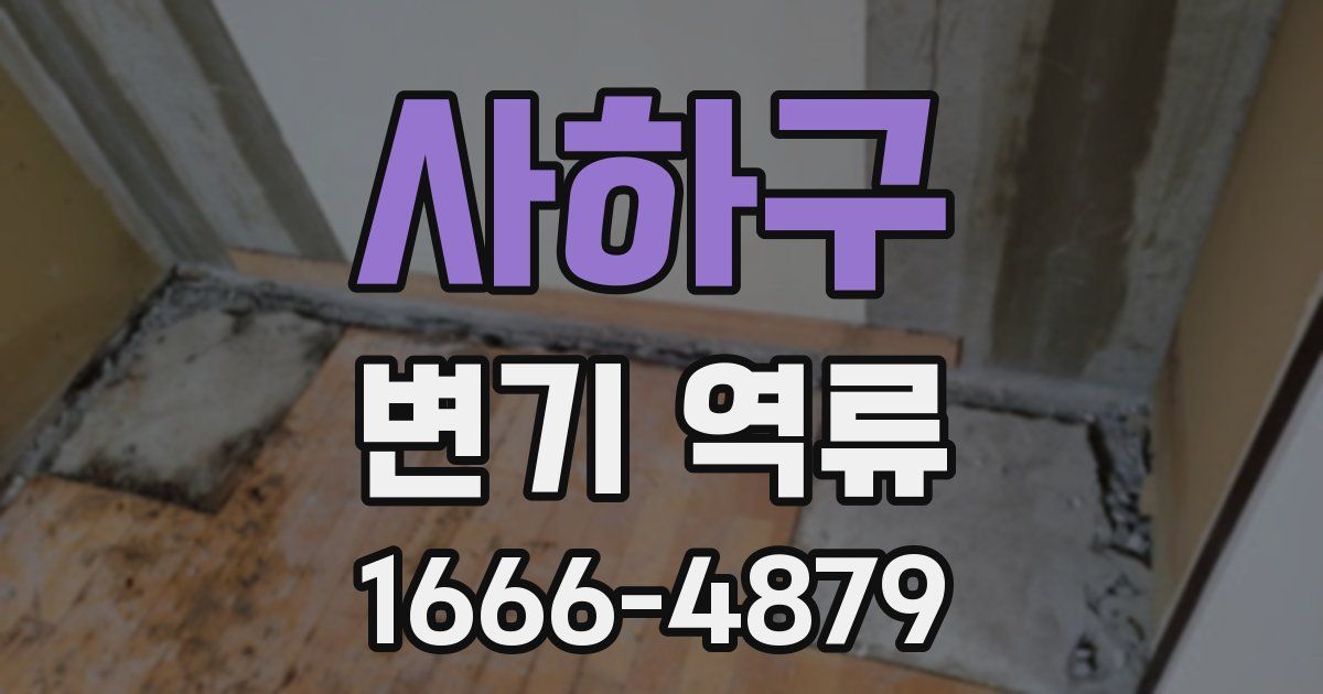 사하구 변기 역류