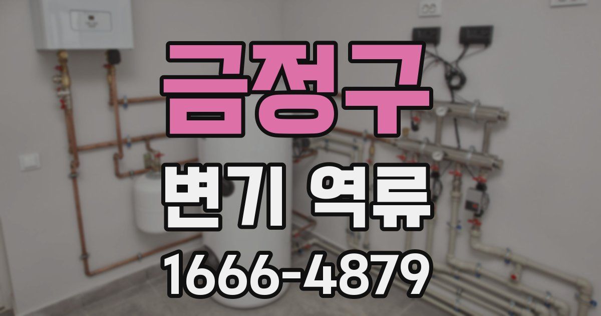 금정구 변기 역류