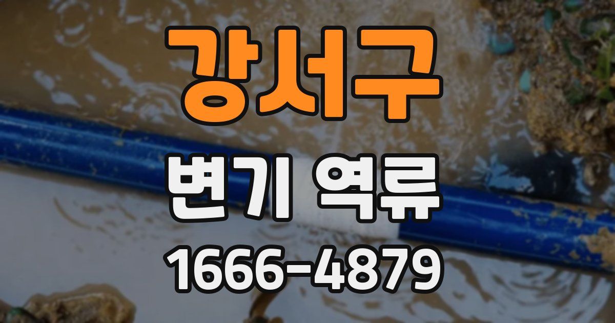 강서구 변기 역류