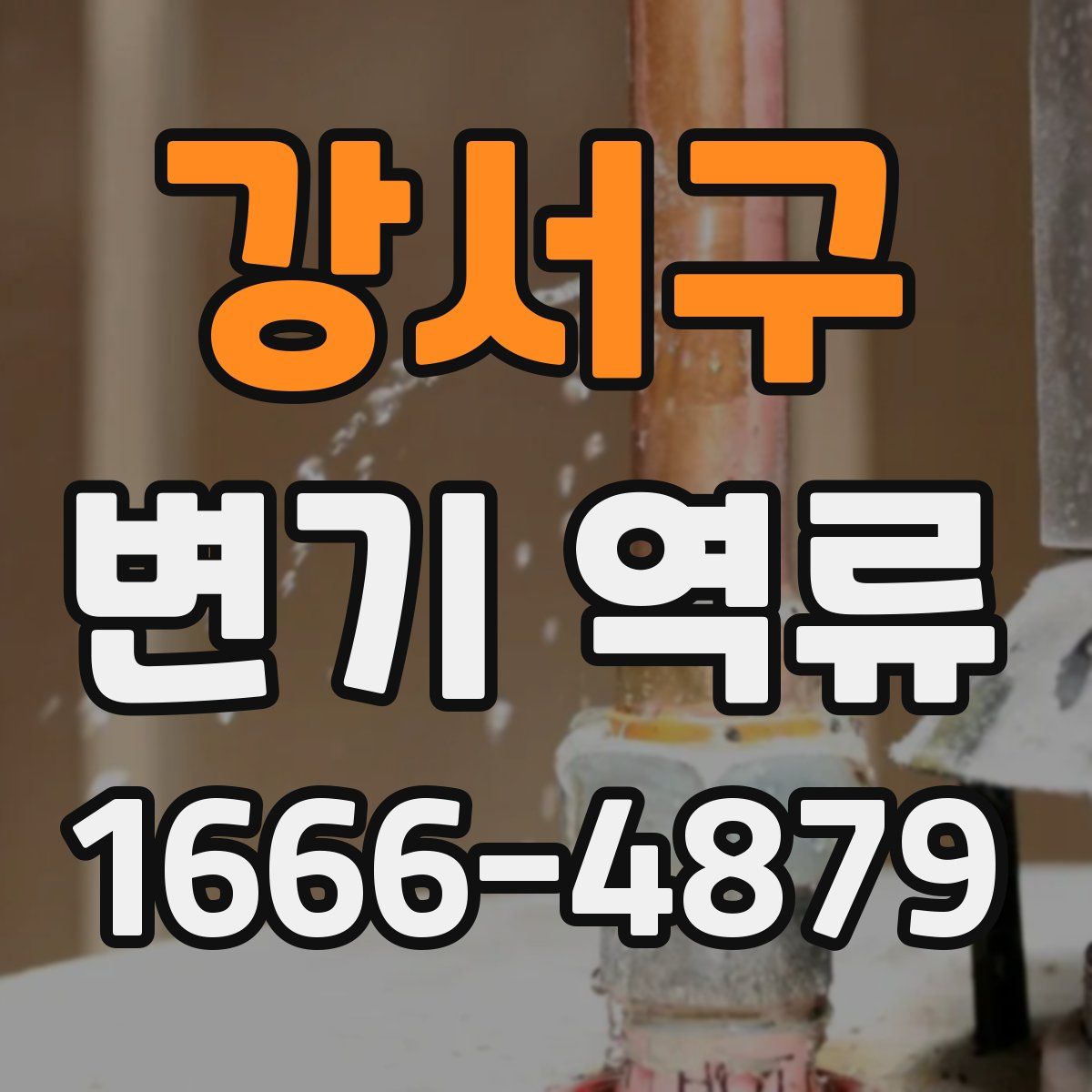 강서구 변기 역류