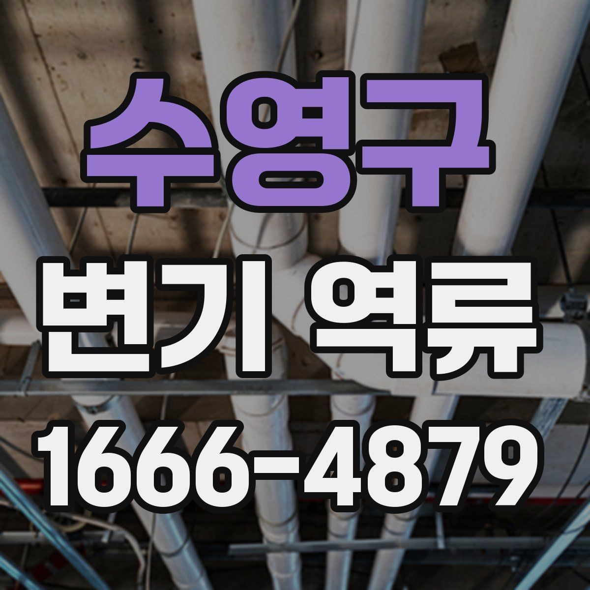 수영구 변기 역류 원인별로 달라지는 확인 방법