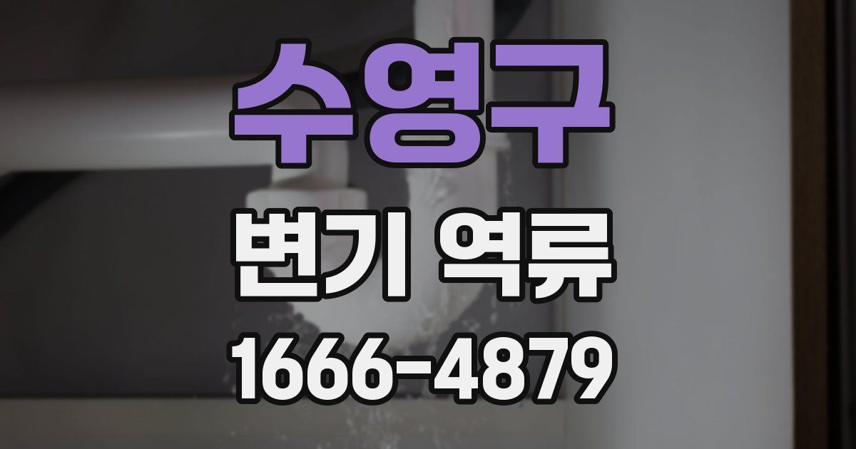 수영구 변기 역류