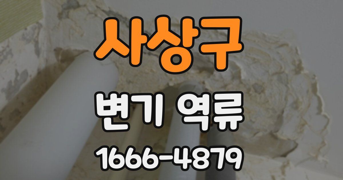 사상구 변기 역류