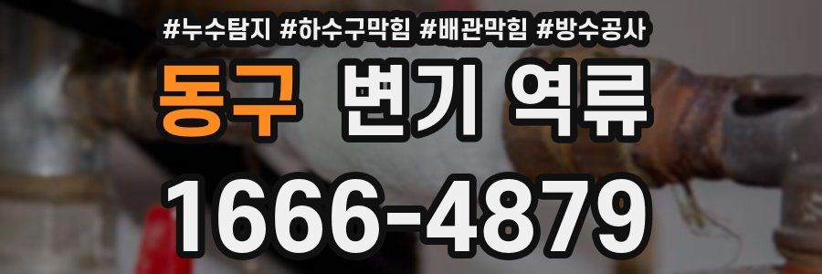 동구 변기 역류