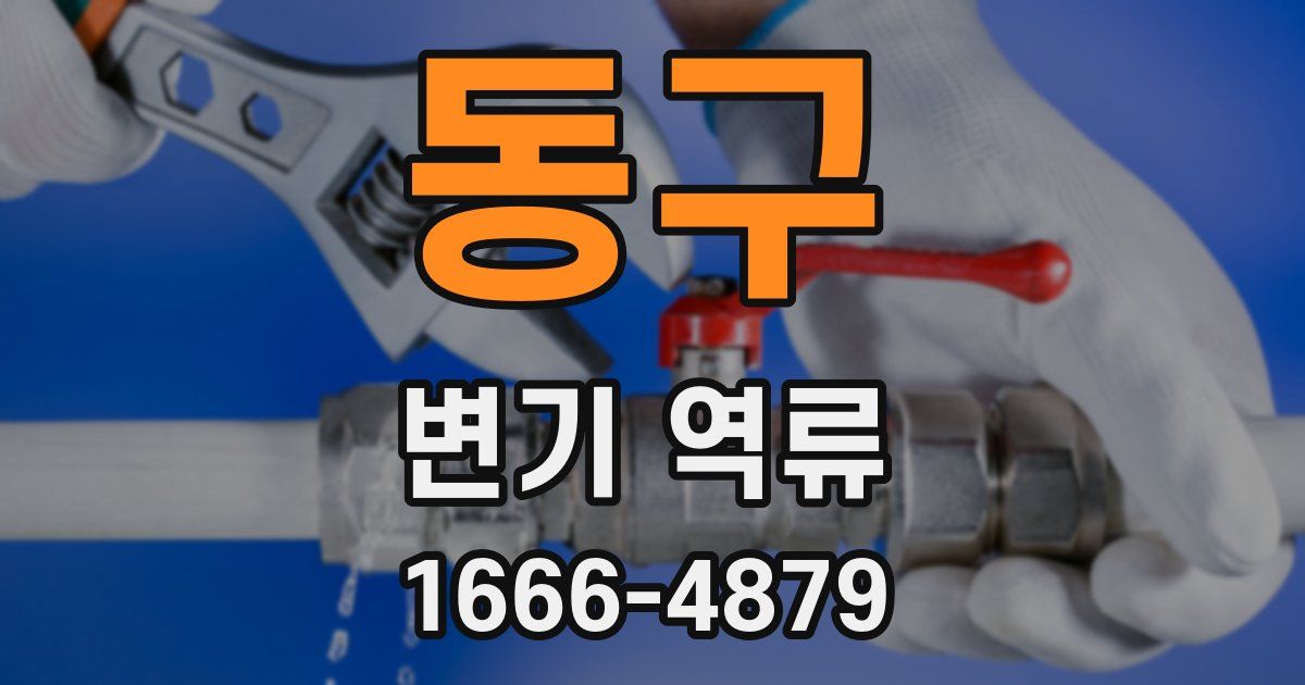 동구 변기 역류