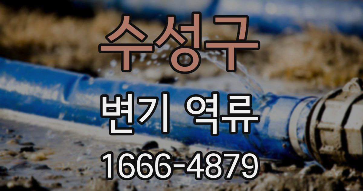 수성구 변기 역류