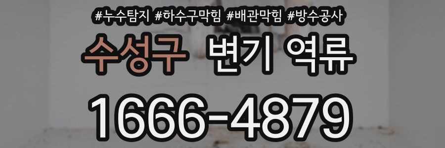 수성구 변기 역류