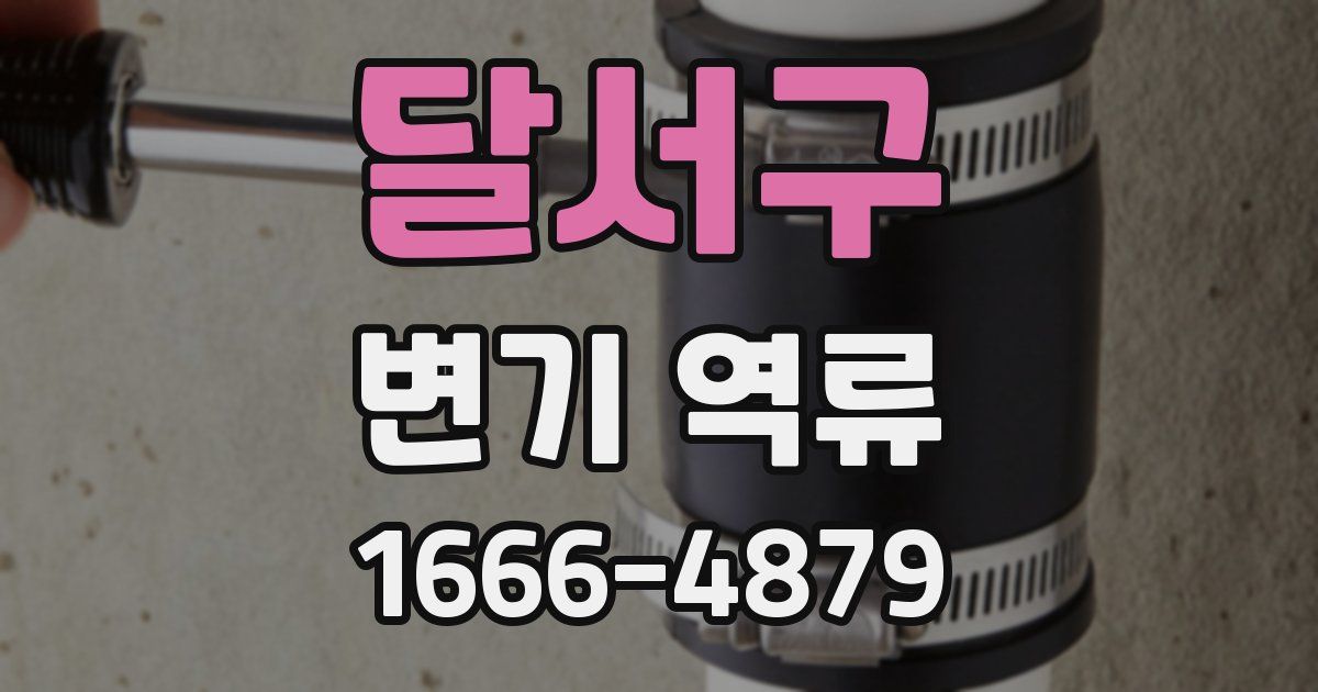 달서구 변기 역류