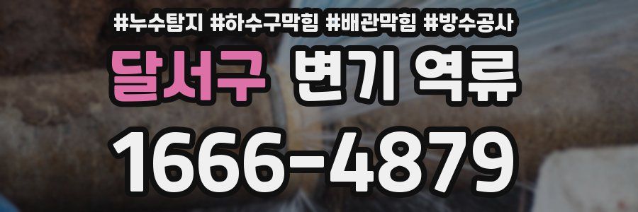 달서구 변기 역류