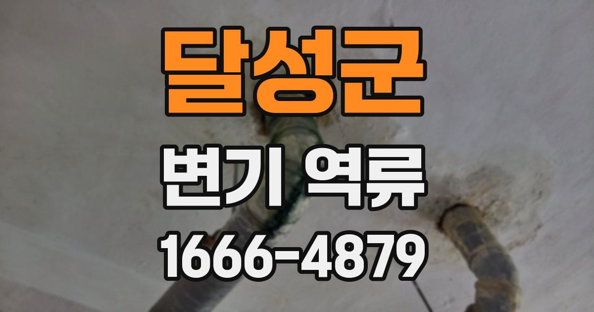 달성군 변기 역류