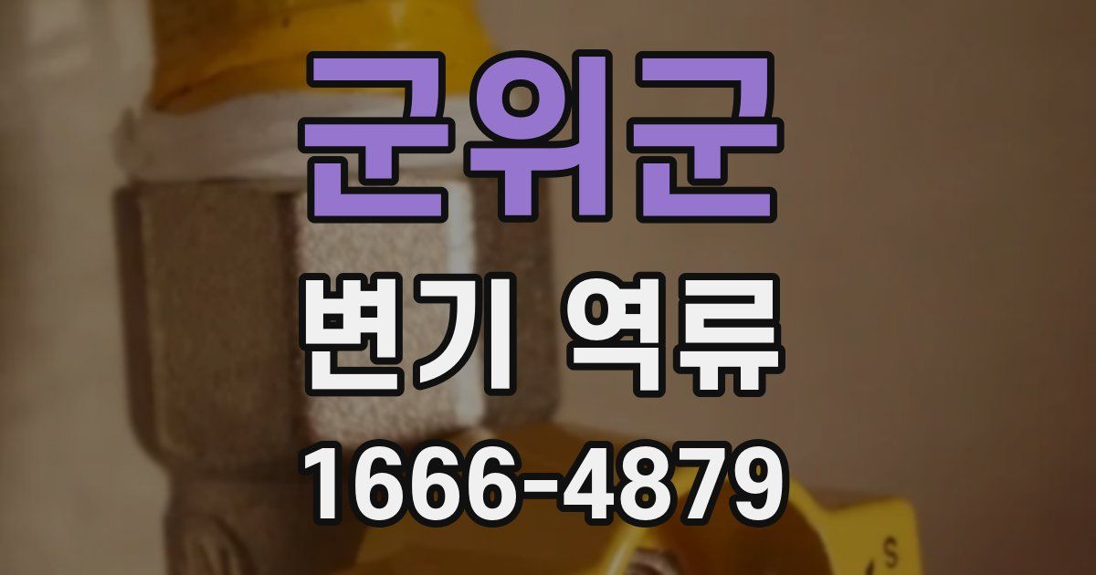 군위군 변기 역류