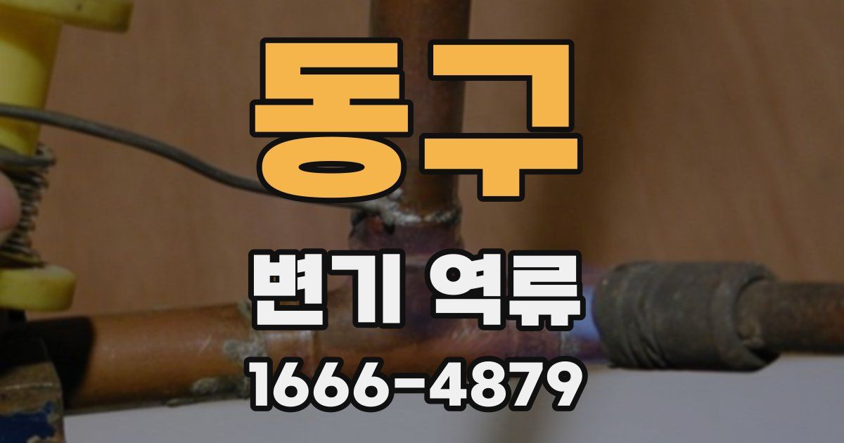 동구 변기 역류