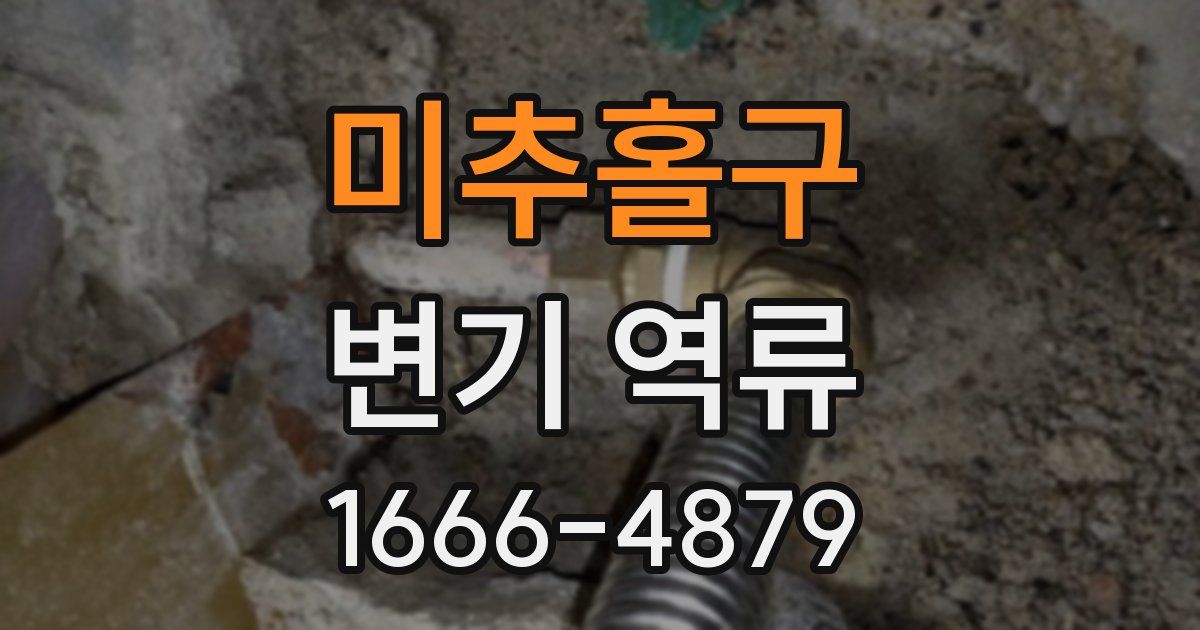 미추홀구 변기 역류
