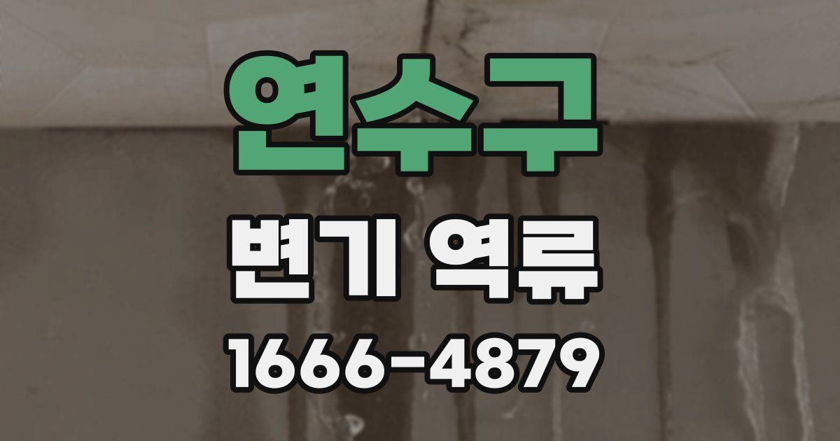 연수구 변기 역류
