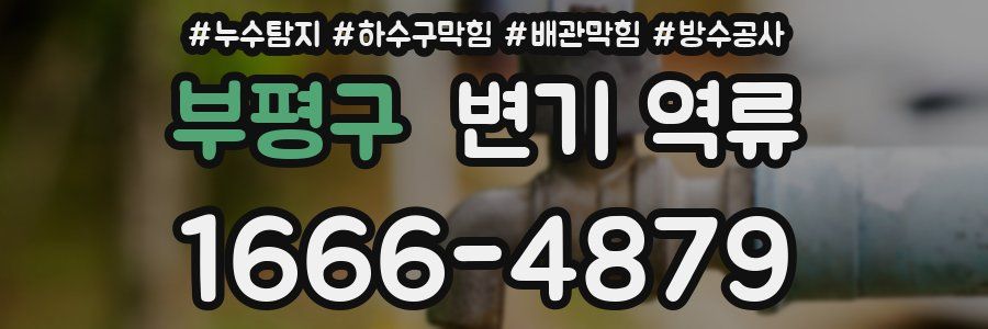 부평구 변기 역류