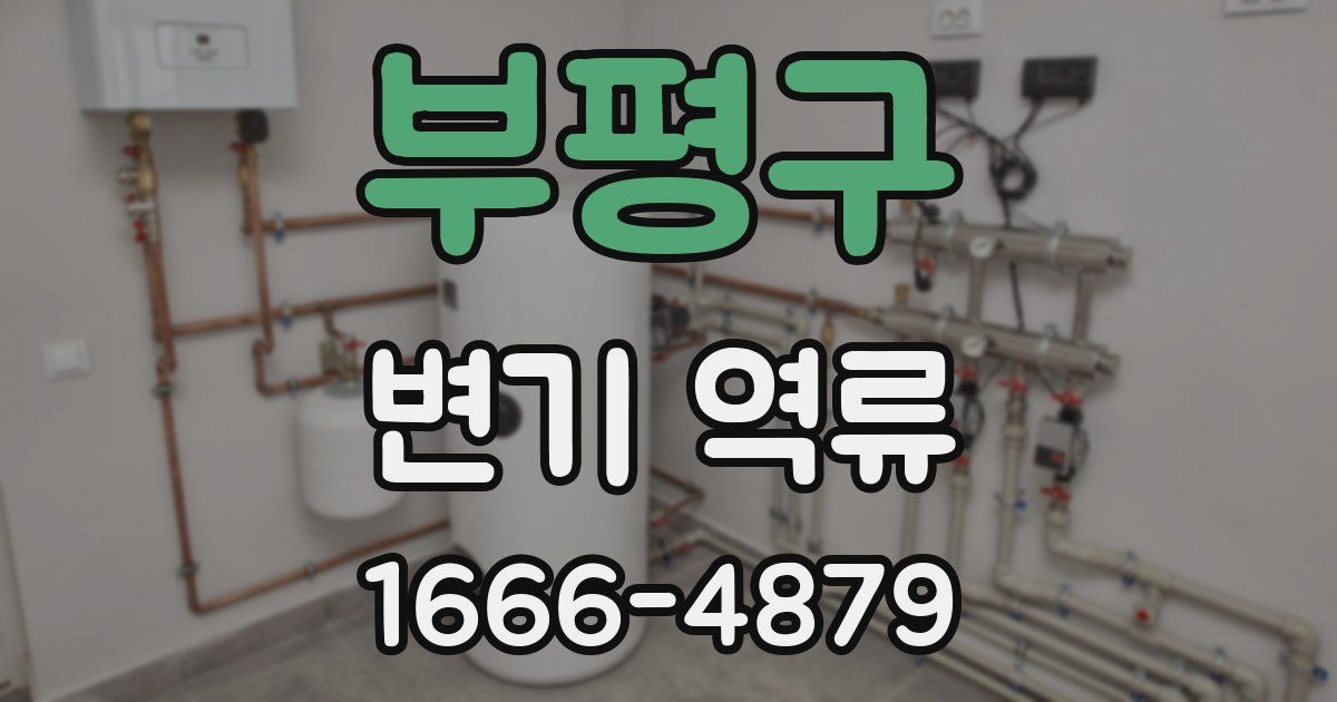 부평구 변기 역류