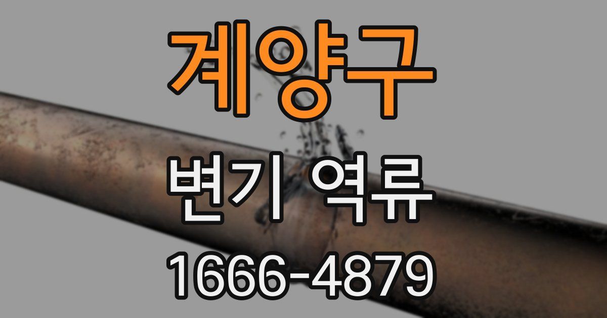 계양구 변기 역류