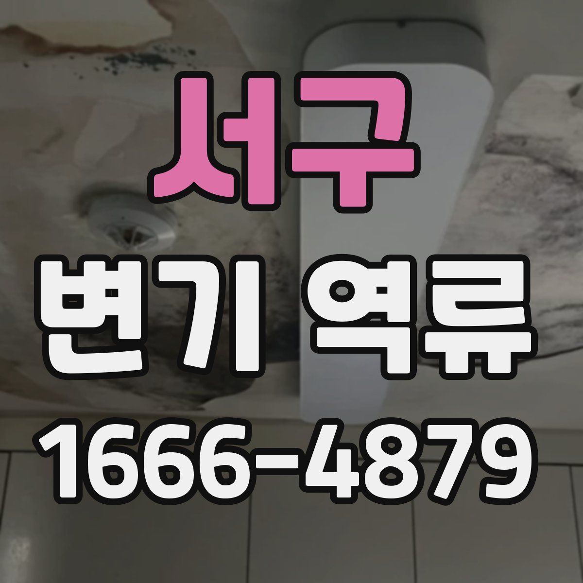 서구 변기 역류