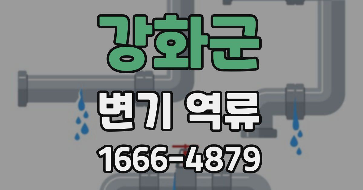 강화군 변기 역류