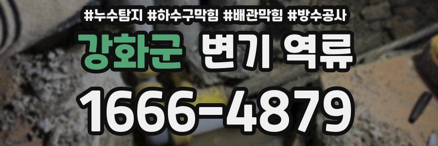 강화군 변기 역류