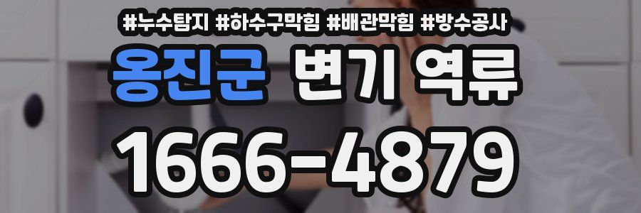 옹진군 변기 역류