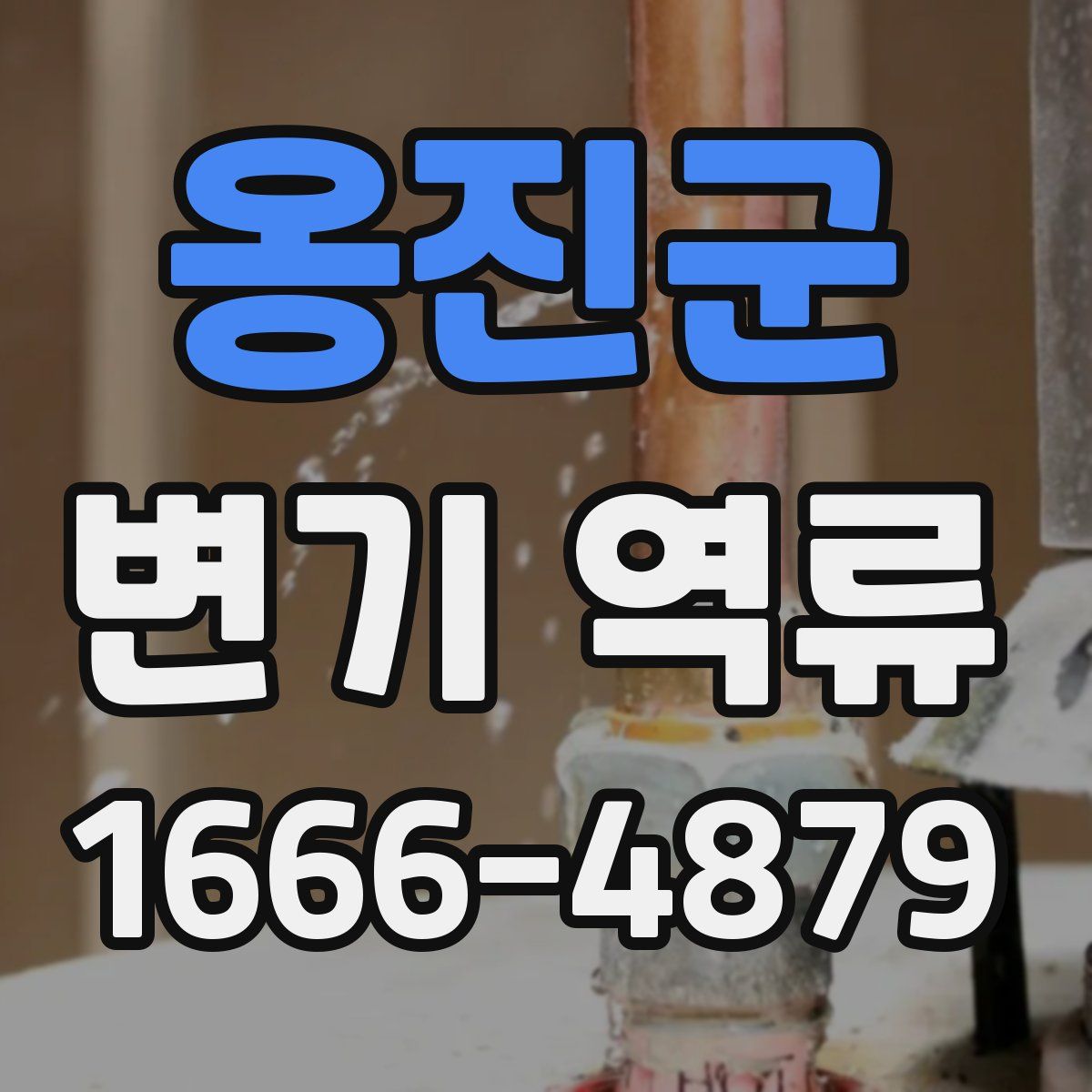 옹진군 변기 역류
