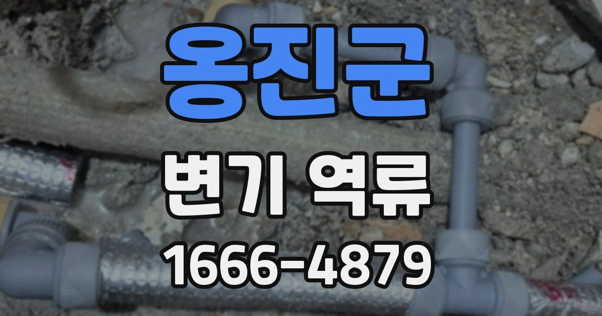 옹진군 변기 역류