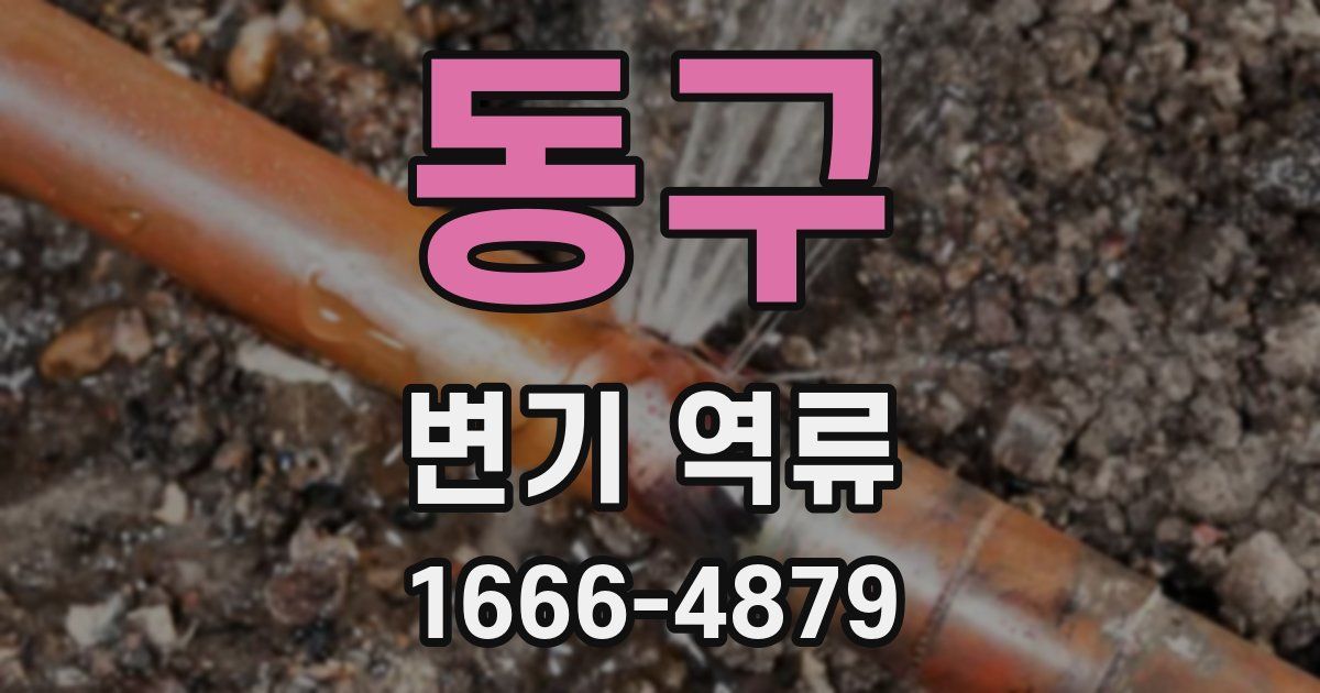 동구 변기 역류