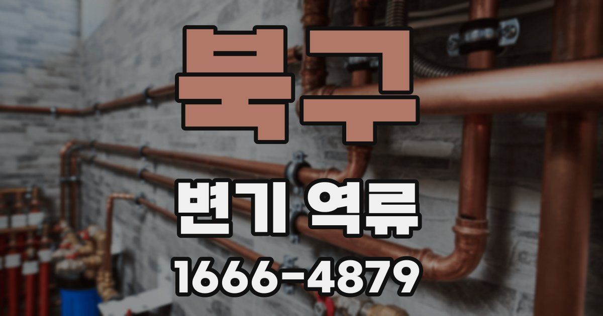 북구 변기 역류
