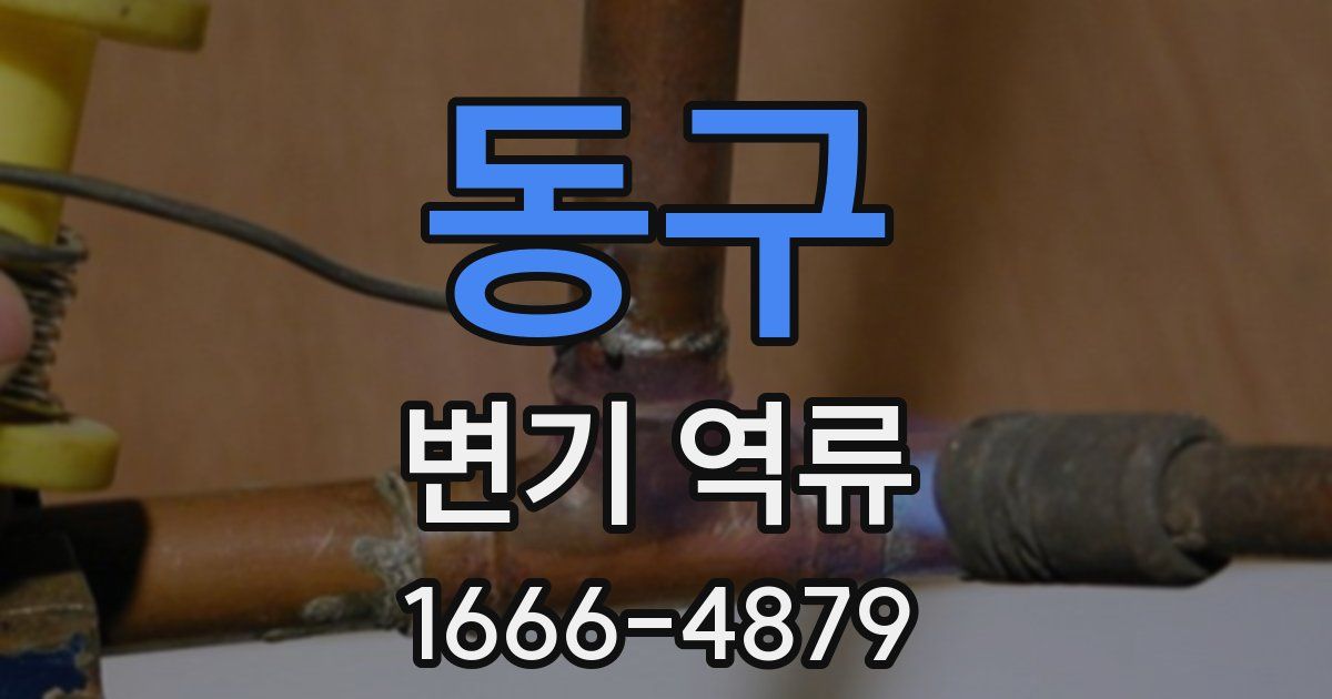 동구 변기 역류