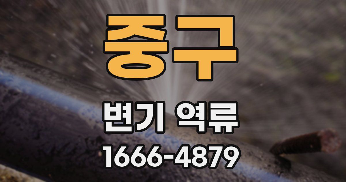 중구 변기 역류