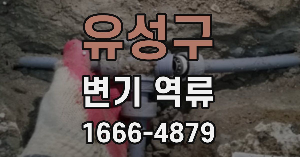 유성구 변기 역류