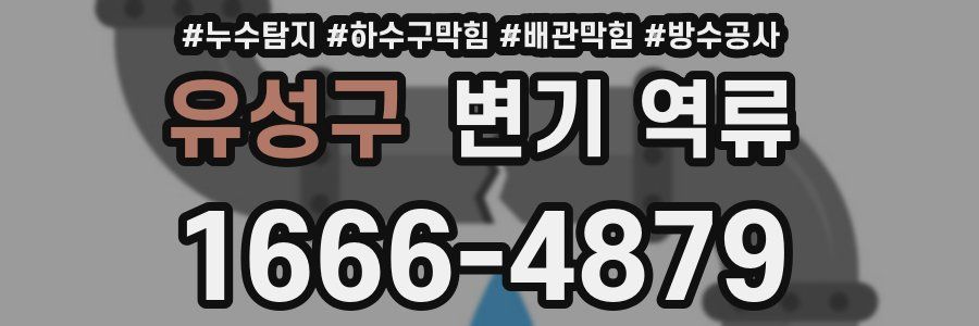 유성구 변기 역류