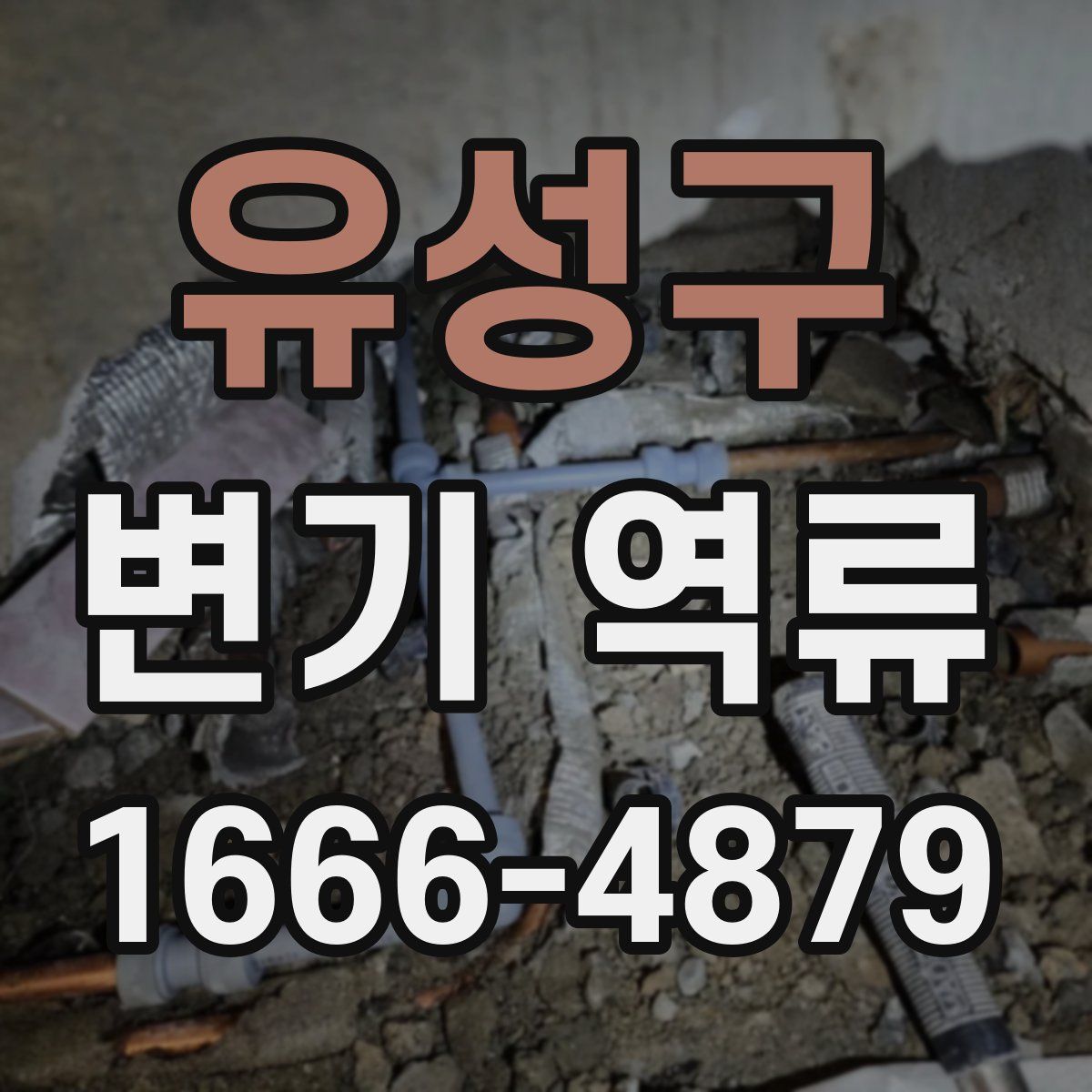 유성구 변기 역류
