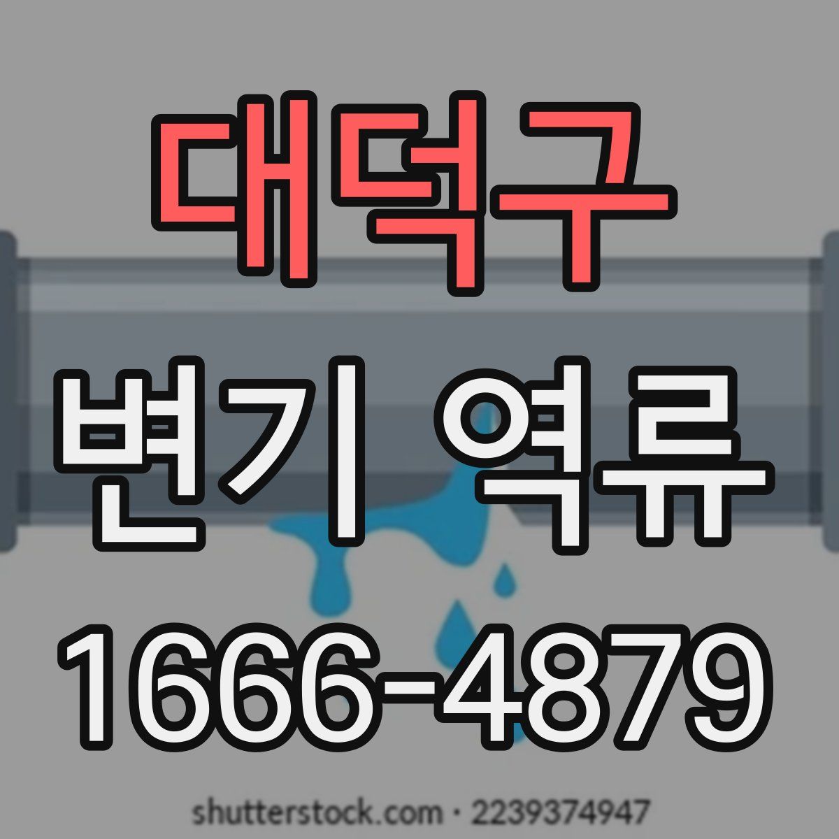 대덕구 변기 역류