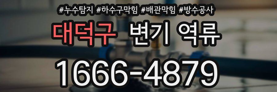 대덕구 변기 역류