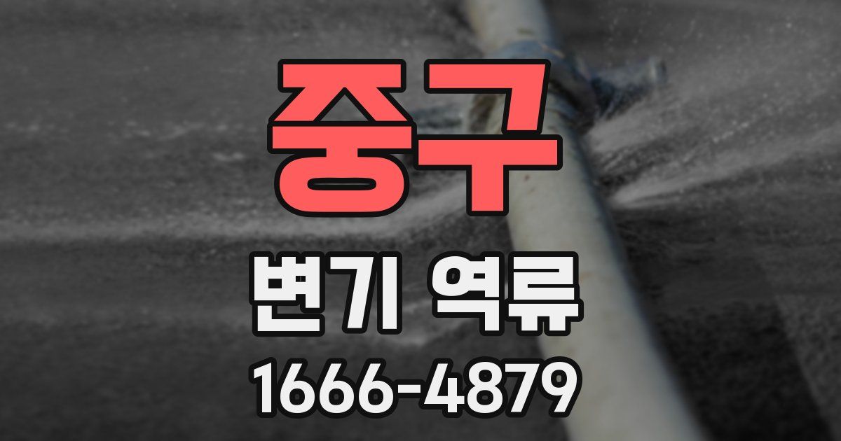 중구 변기 역류