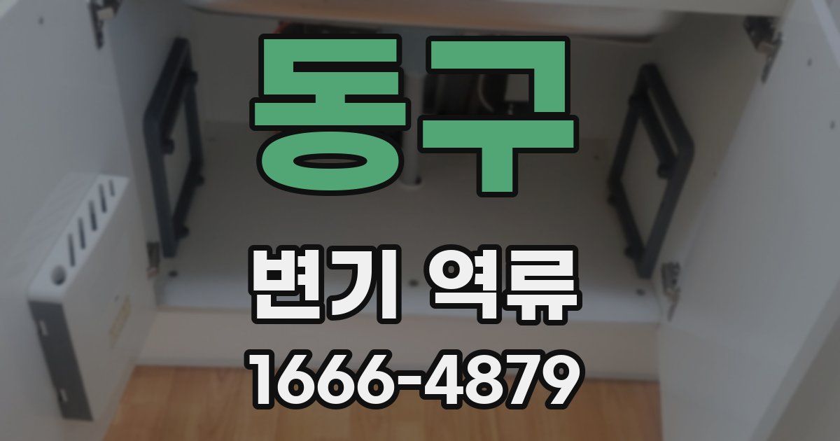 동구 변기 역류