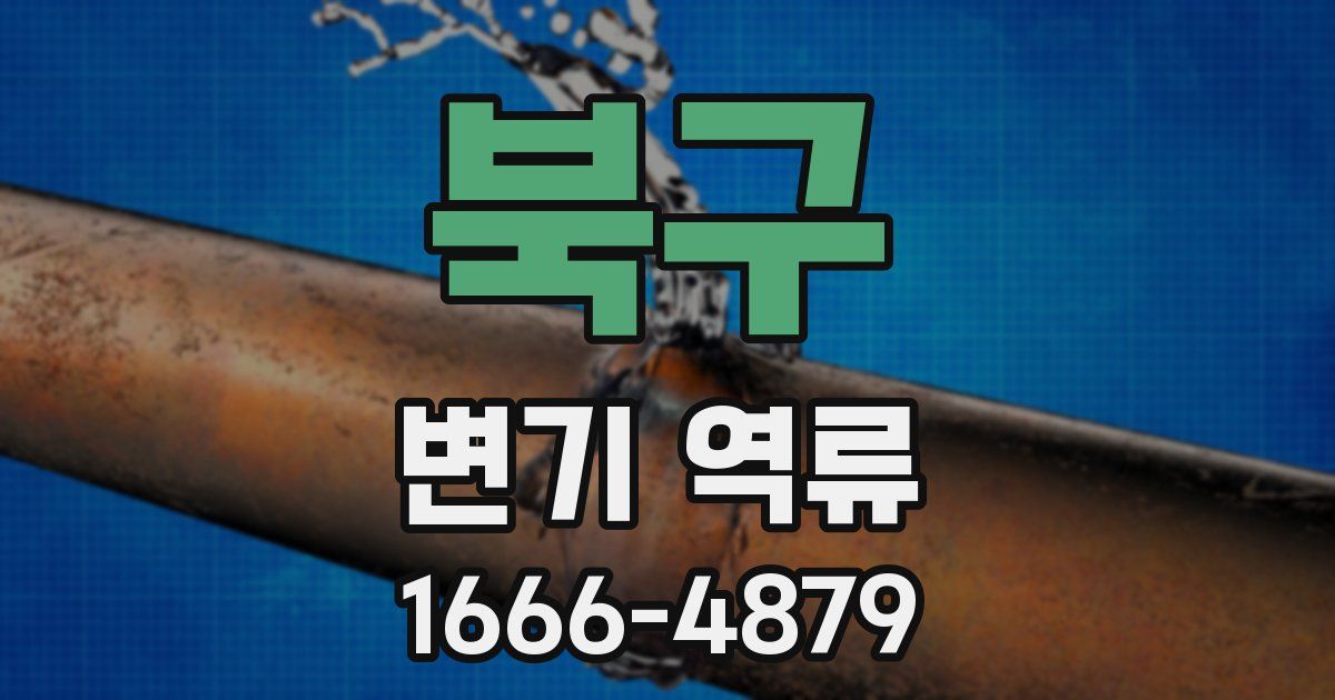 북구 변기 역류