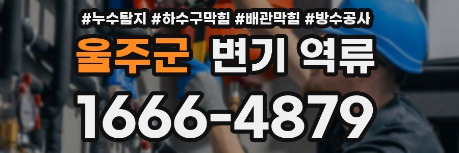 울주군 변기 역류